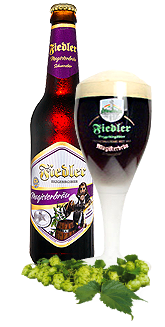 Fiedler - Magister